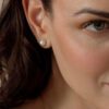 Akoya Cultured AA Pearl Stud Earrings in White Gold - 8mm - Image 4