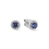 1.50 Carat Tanzanite Diamond Halo Stud Earrings in White Gold - Image 2