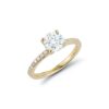 PavÃ© Collection - Round Brilliant-Cut Diamond Engagement Ring in Yellow Gold - Image 4