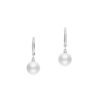 White South Sea A+ Pearl Dangle Earring in White Gold - 10mm - Image 2