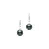 Black South Sea Cultured A+ Pearl Huggie Earrings in White Gold - 9mm - Image 2