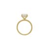 Halo Collection â Round Brilliant-Cut Diamond Engagement Ring in Yellow Gold - Image 5