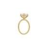 Halo Collection â Round Brilliant-Cut Diamond Engagement Ring in Yellow Gold - Image 4