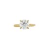 Halo Collection â Round Brilliant-Cut Diamond Engagement Ring in Yellow Gold - Image 2