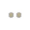2.98 Carat Fancy Yellow Radiant Cut Diamond Halo Stud in Platinum and Yellow Gold - Image 2